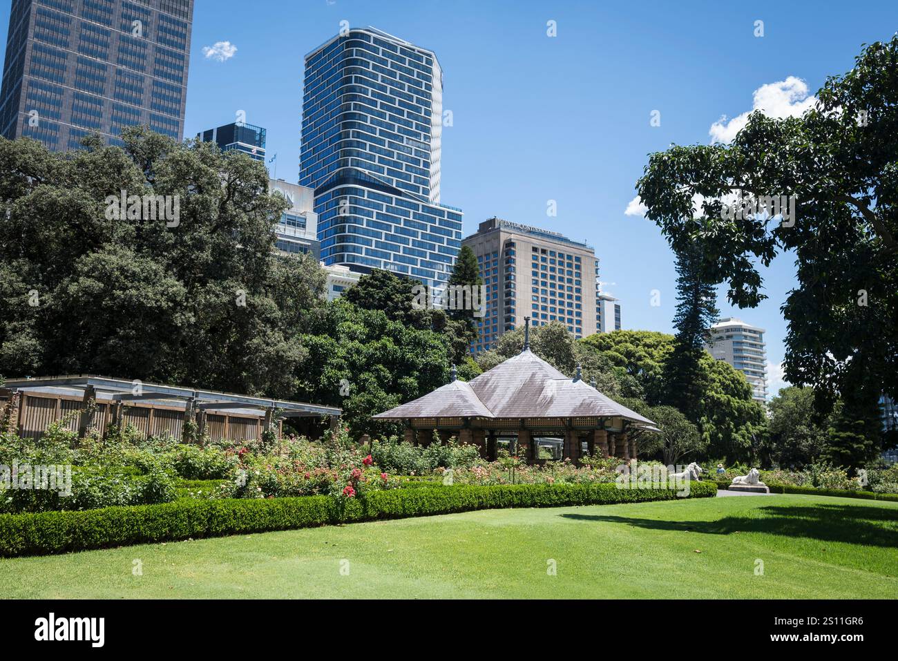 Giardino delle rose e grattacieli del CBD, il Royal Botanic Garden, un importante giardino botanico di 30 ettari patrimonio dell'umanità, Sydney, NSW, Australia Foto Stock