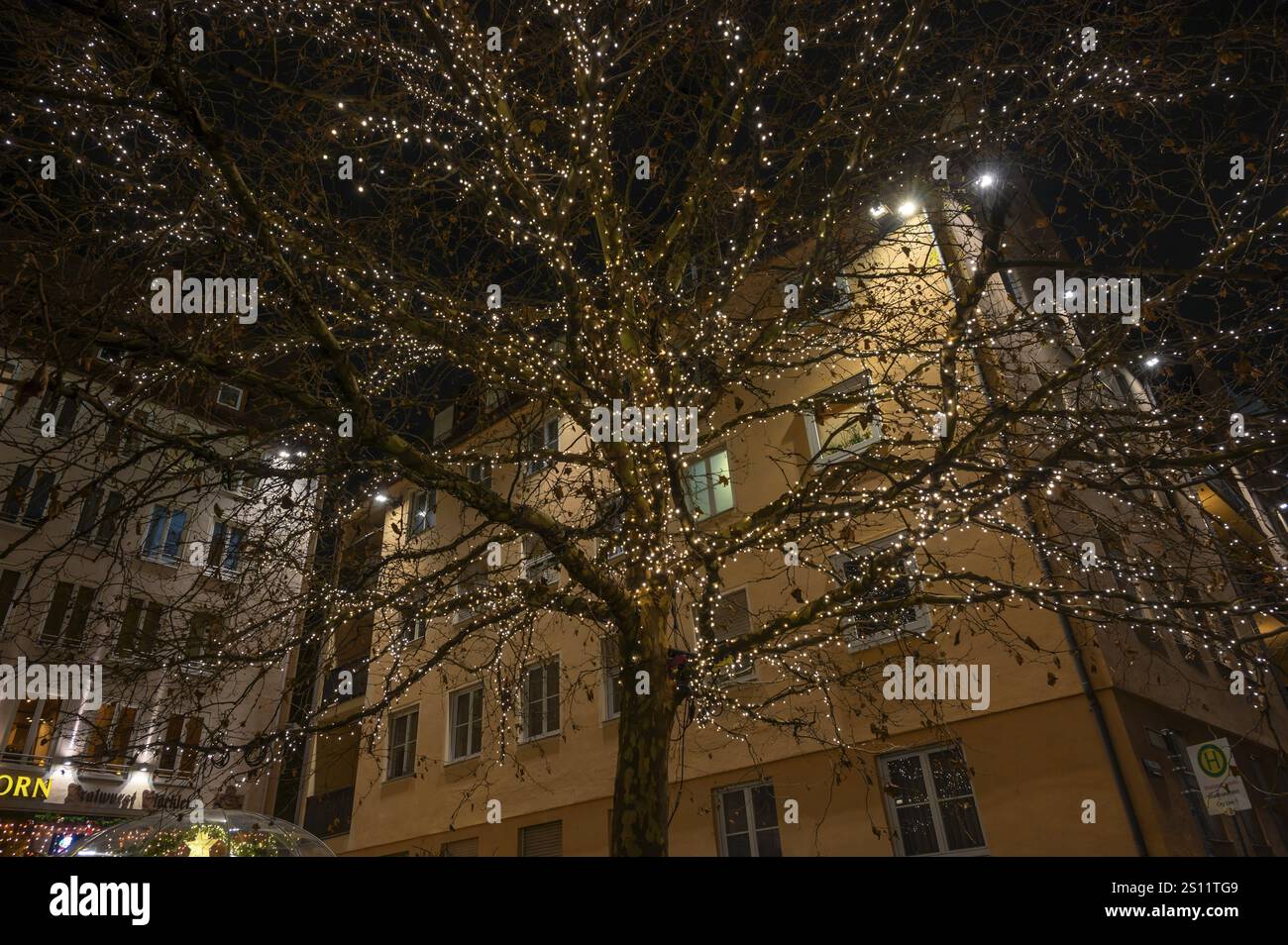 Albero decorato con luci natalizie, Sebalder Platz, Norimberga, Franconia media, Baviera, Germania, Europa Foto Stock