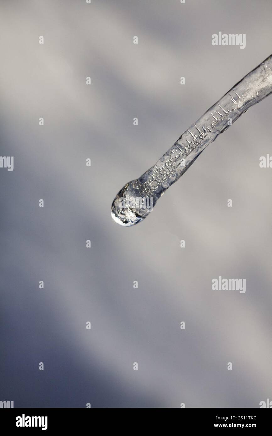 Single icicle, macro, inverno 2010 insolitamente freddo, foto simbolo clima invernale, temperature sotto lo zero, meteorologia, passato, Hoexter, Germania, Europa Foto Stock