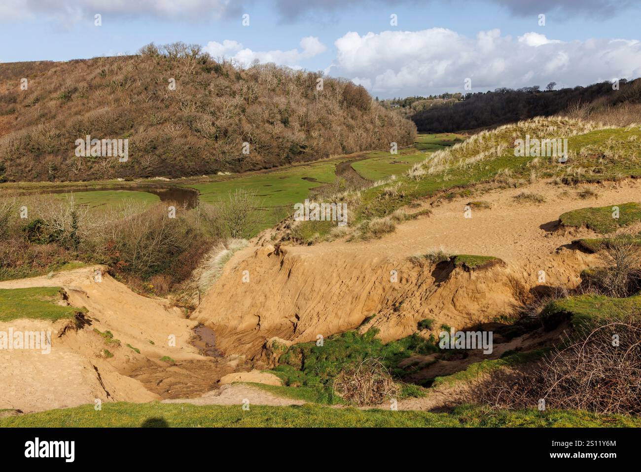 Erosione delle dune di sabbia ai margini del campo da golf, Three Cliffs, Gower, Galles, Regno Unito Foto Stock