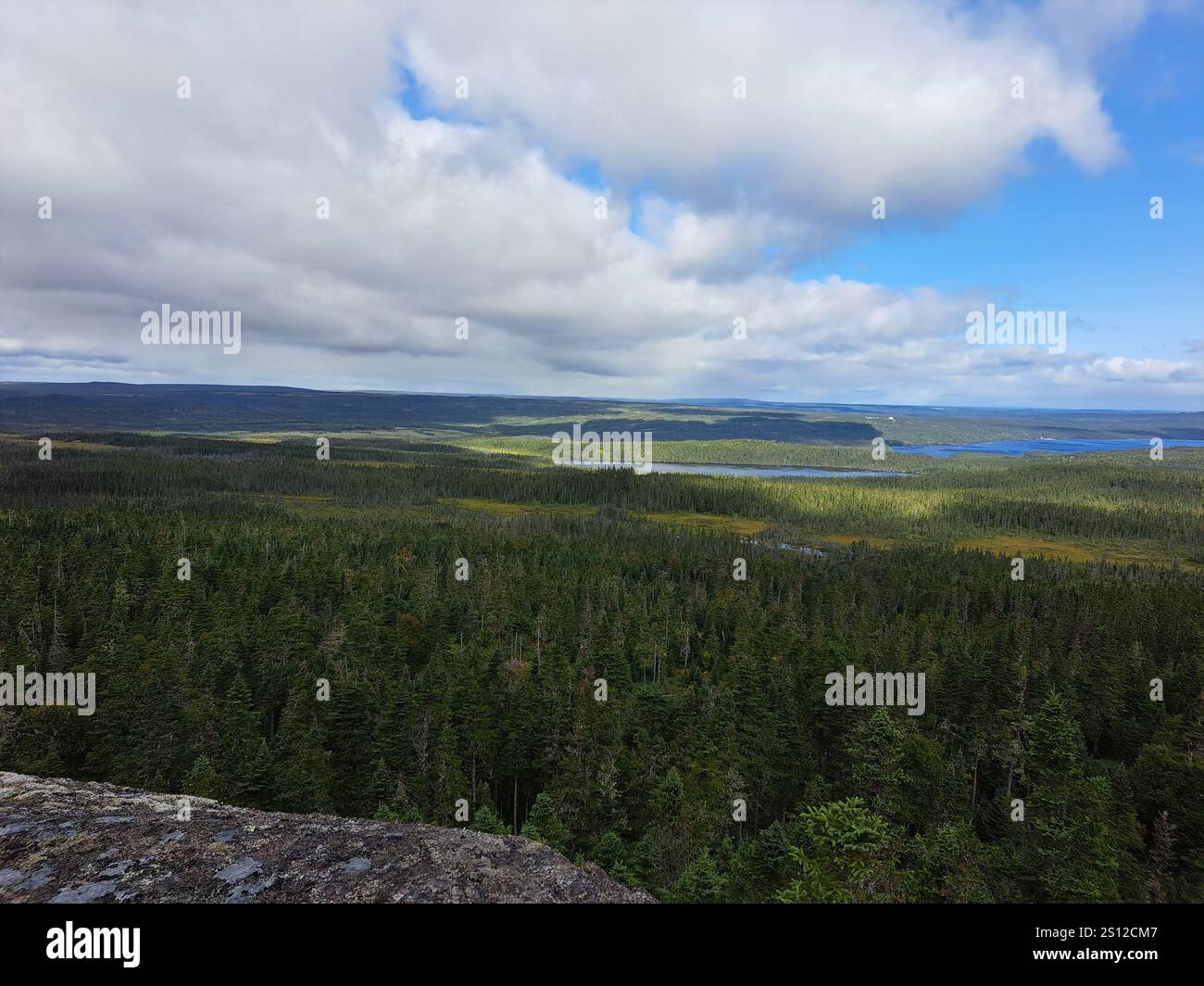 Vista dal sentiero Ochre Hill nel Terra Nova National Park, Glovertown, Newfoundland & Labrador, Canada Foto Stock