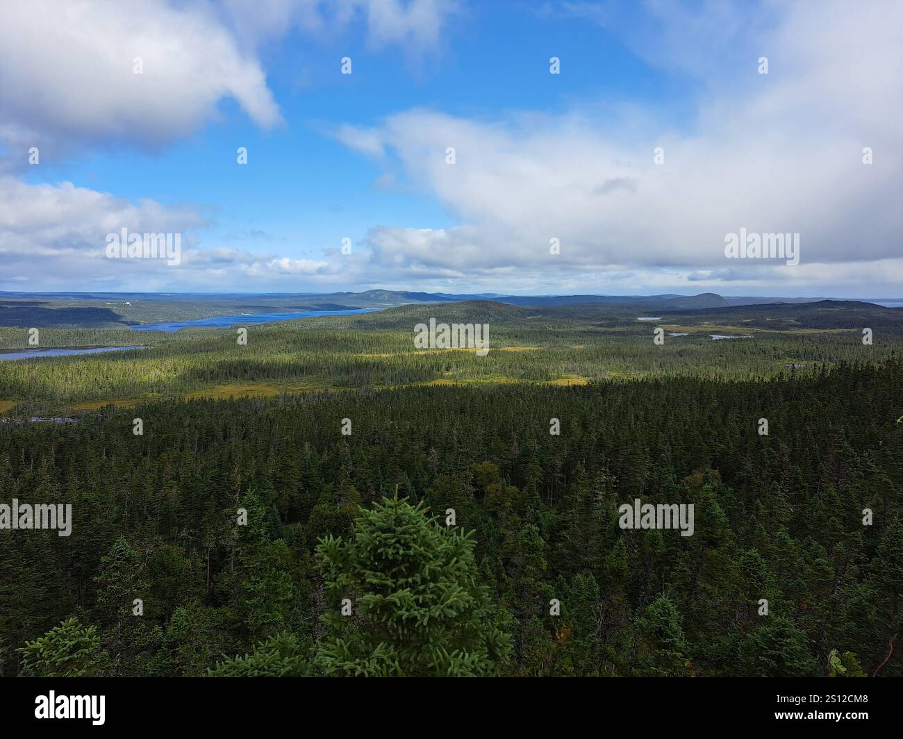 Vista dal sentiero Ochre Hill nel Terra Nova National Park, Glovertown, Newfoundland & Labrador, Canada Foto Stock