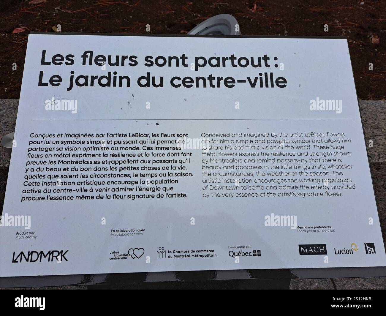 Cartello informativo dell'artista per la scultura dei fiori in Sherbrooke Street nel centro di Montreal, Quebec, Canada Foto Stock