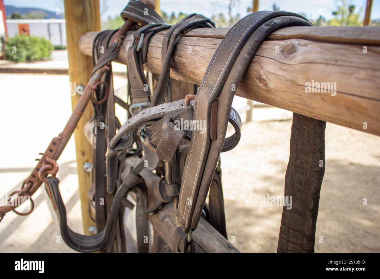 Una vista di cinghie di cavallo appese su una recinzione di legno di un corral. Foto Stock