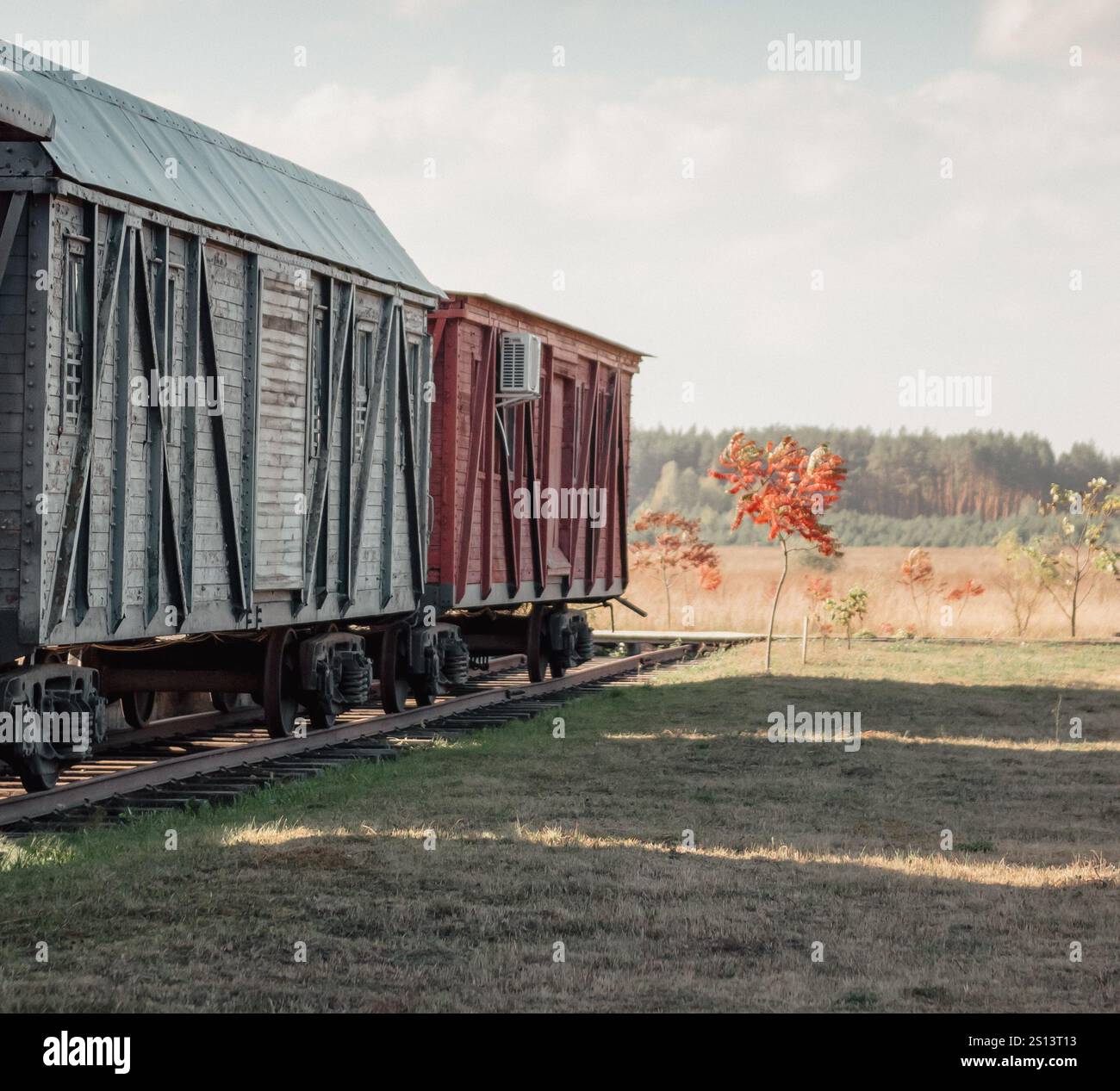 Vecchi vagoni ferroviari in legno a headshunt. Il treno d'epoca si fermò in un campo in un giorno d'autunno. Foto Stock