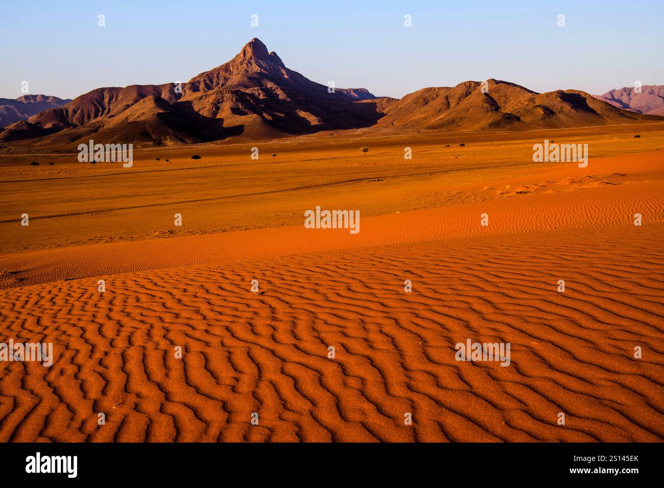 Strutture ondulate delle dune rosse contro la soleggiata catena montuosa, Namibrand Nature Reserve, Namibia Foto Stock