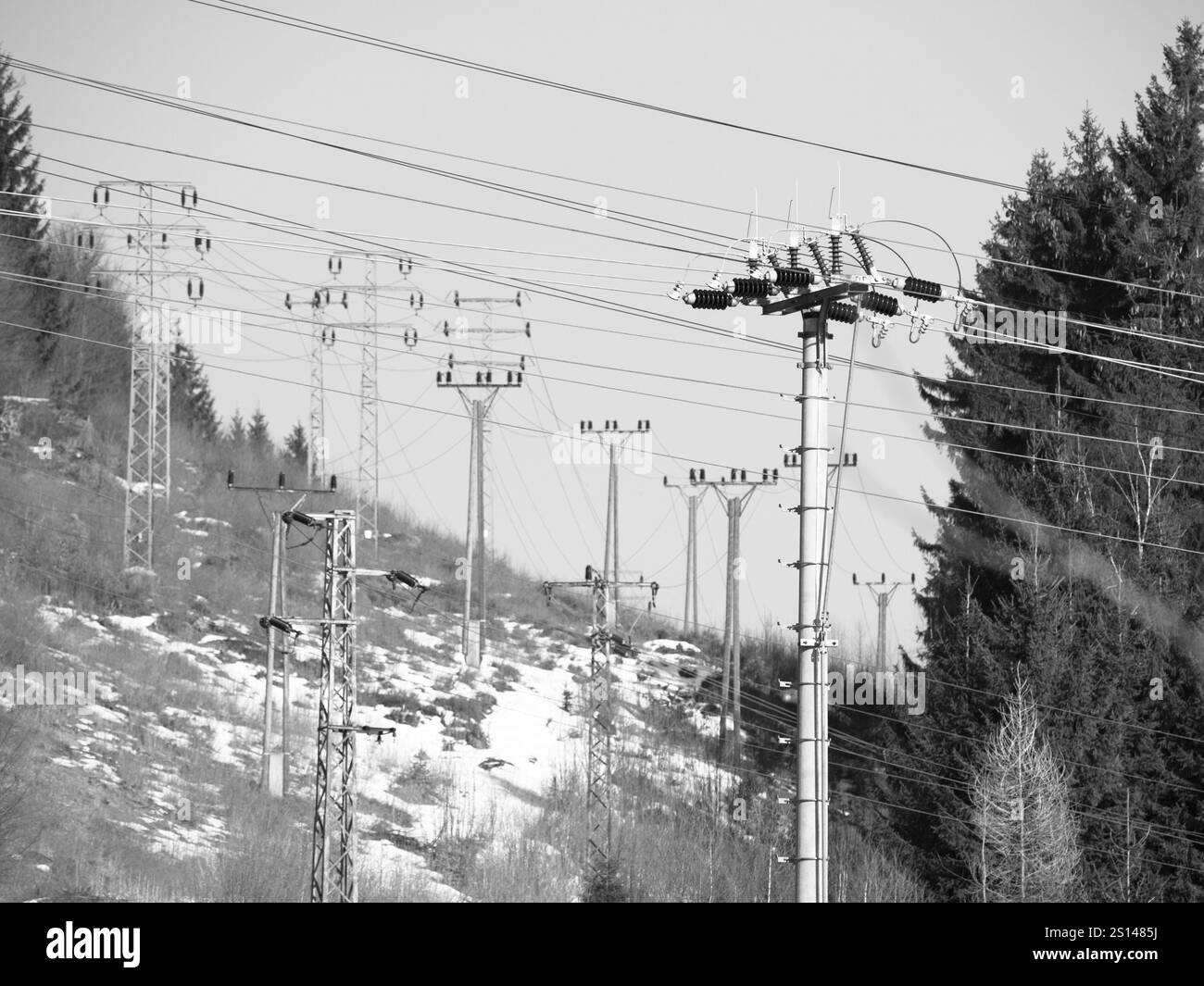 Linee elettriche in natura. Immagine in bianco e nero. Foto Stock