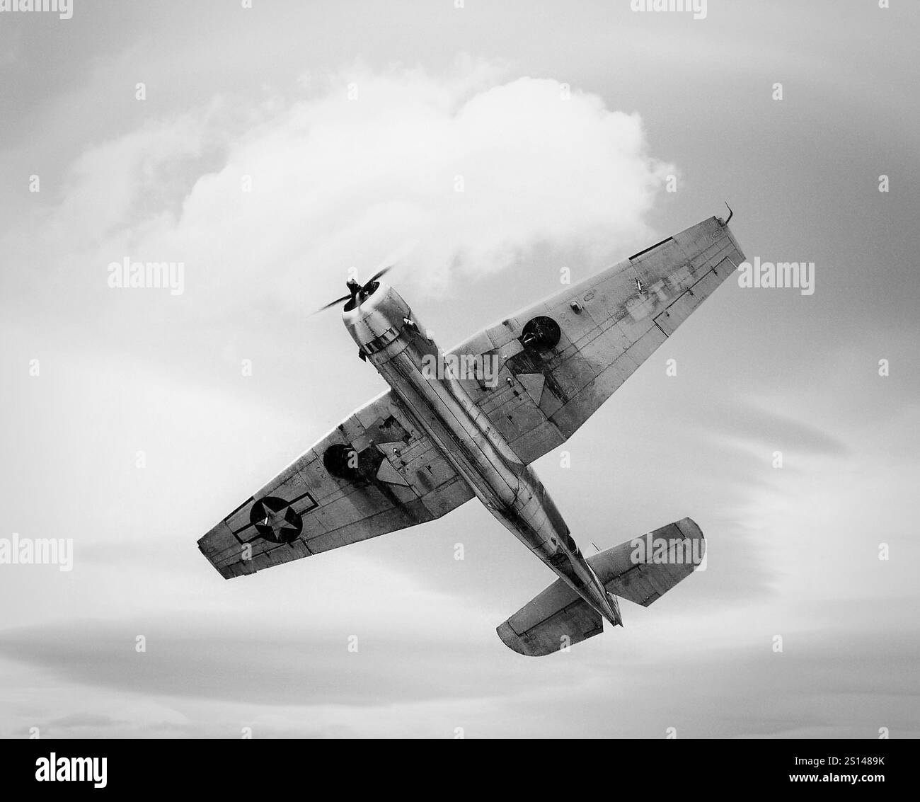 Un Grumman TBF Avenger in volo. Un bombardiere silurante americano dell'era della seconda guerra mondiale sviluppato inizialmente per la Marina e il corpo dei Marines degli Stati Uniti, ma alla fine utilizzato da diversi servizi di aviazione aerea e navale in tutto il mondo. Entrò in servizio negli Stati Uniti nel 1942, e prese parte per la prima volta alla battaglia di Midway. Nonostante la perdita di cinque dei sei Vendicatori al suo debutto in combattimento, sopravvisse in servizio fino a diventare il bombardiere silurante più utilizzato della seconda guerra mondiale Foto Stock