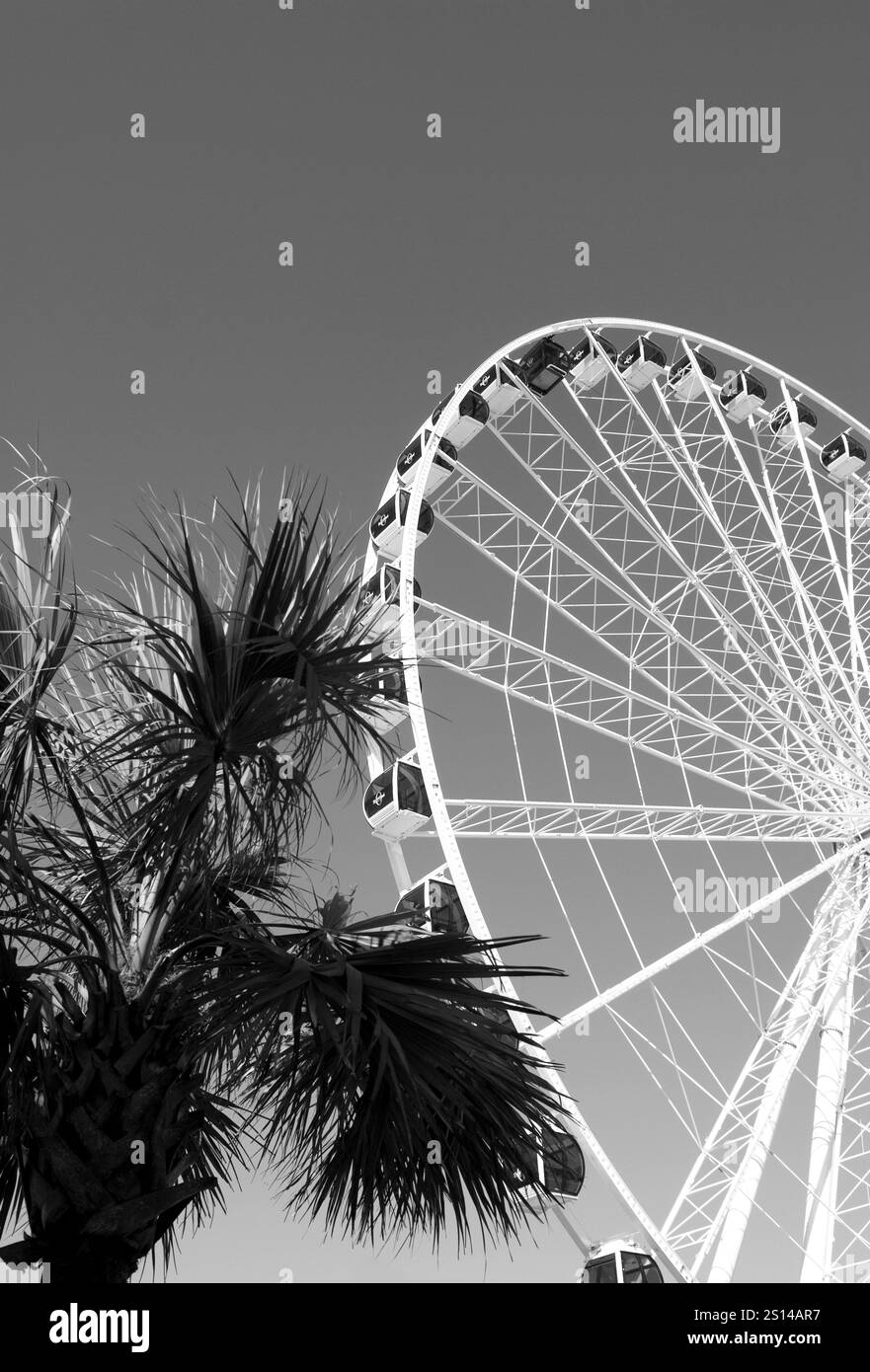 La Sky Wheel di Myrtle Beach, South Carolina, USA, una torreggiante ruota panoramica sul vivace Boardwalk and Promenade. Foto Stock