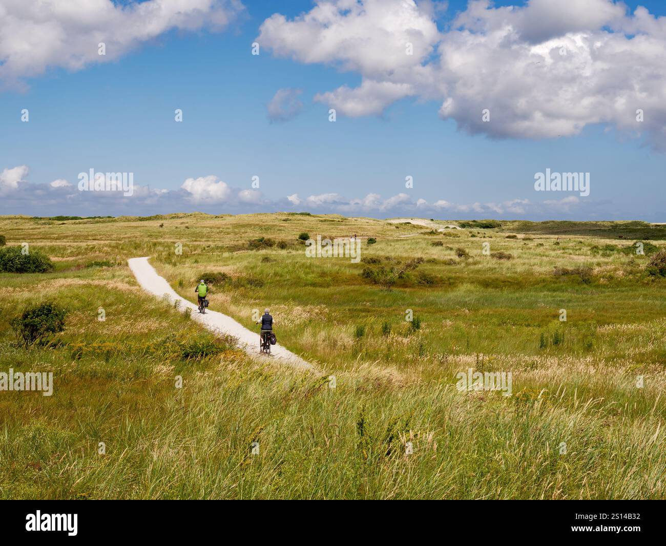 Persone che cavalcano in bicicletta su una pista ciclabile nelle dune della Frisia occidentale, Ameland, Frisia, Paesi Bassi Foto Stock