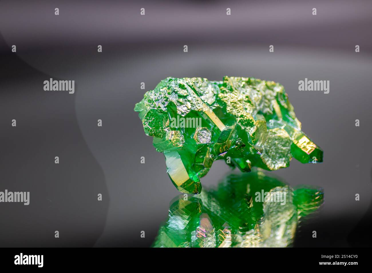 Un cluster di quarzo in cristallo di titanio dall'aura verde vibrante mostra le sue sfumature iridescenti e la sua bellezza scintillante, trasudando energia mistica e decorativa Foto Stock