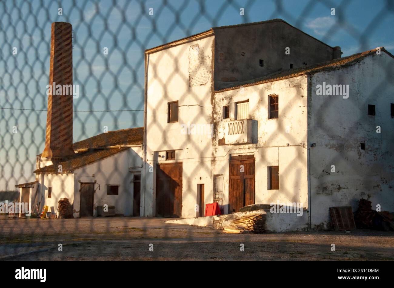 Parco naturale Albufera a Valencia. Spagna. Foto Stock