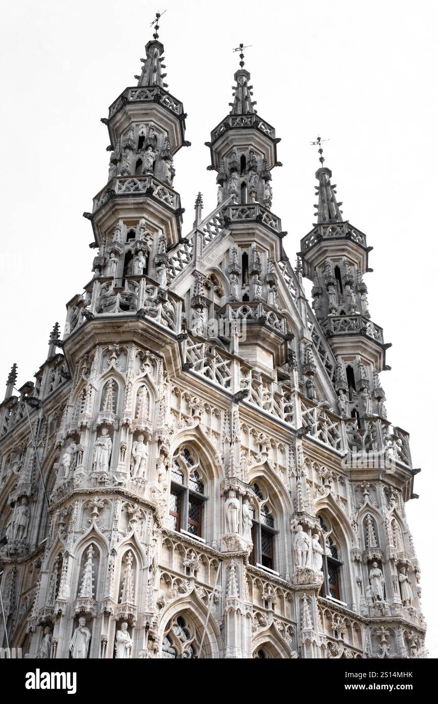 Facciata laterale riccamente decorata con mensole, sculture e torri del municipio di Lovanio, Belgio. Isolato su sfondo bianco Foto Stock