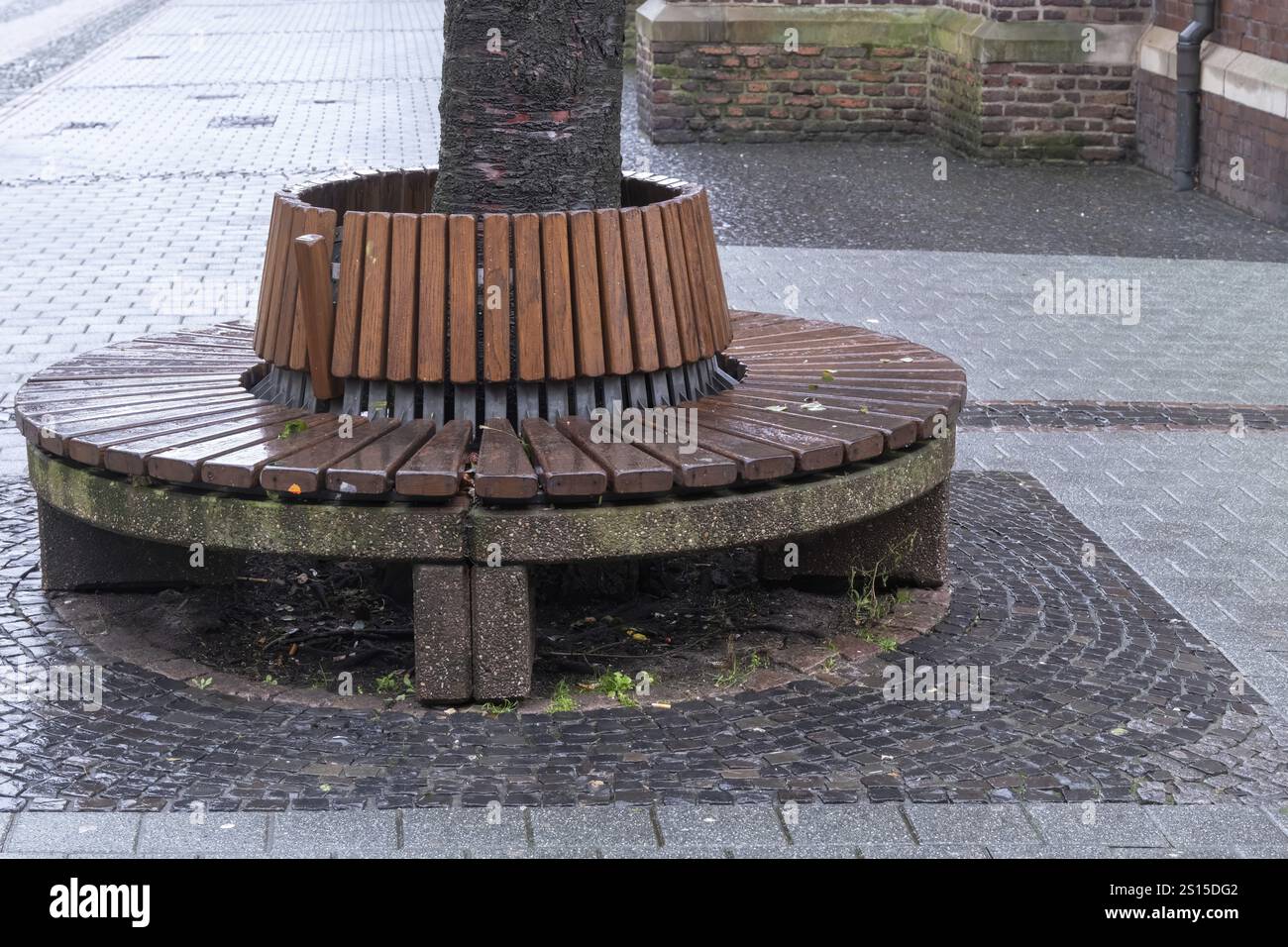 Panca circolare in legno che circonda un albero in uno spazio pubblico lastricato Foto Stock