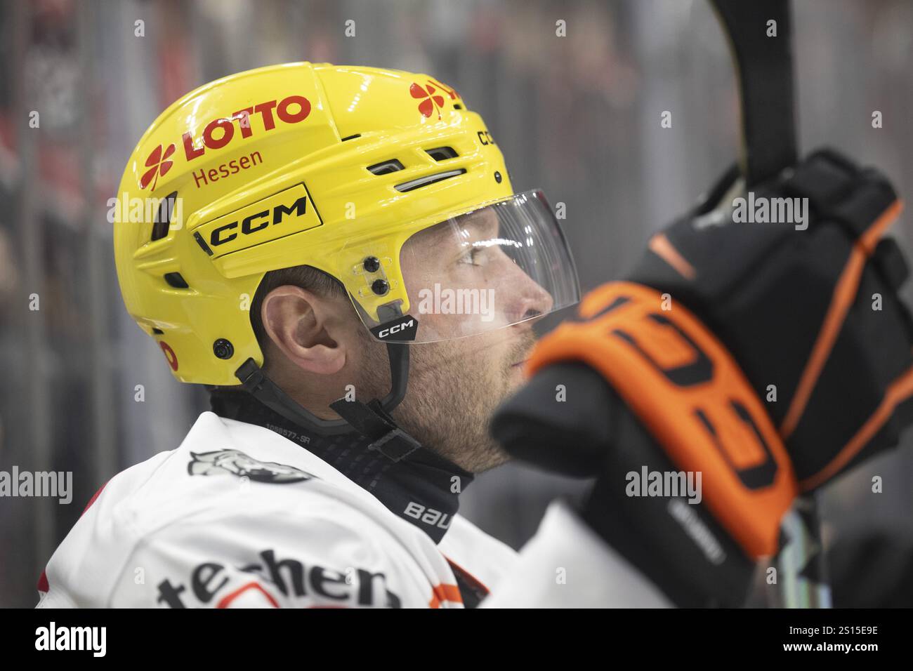 Laura Dick Cologne, LanxessArena, Renania settentrionale-Vestfalia, +fr3+, PENNY DEL, Koelner Haie- Loewen Francoforte il 30/12/2024 alla LanxessArena di Cologn Foto Stock