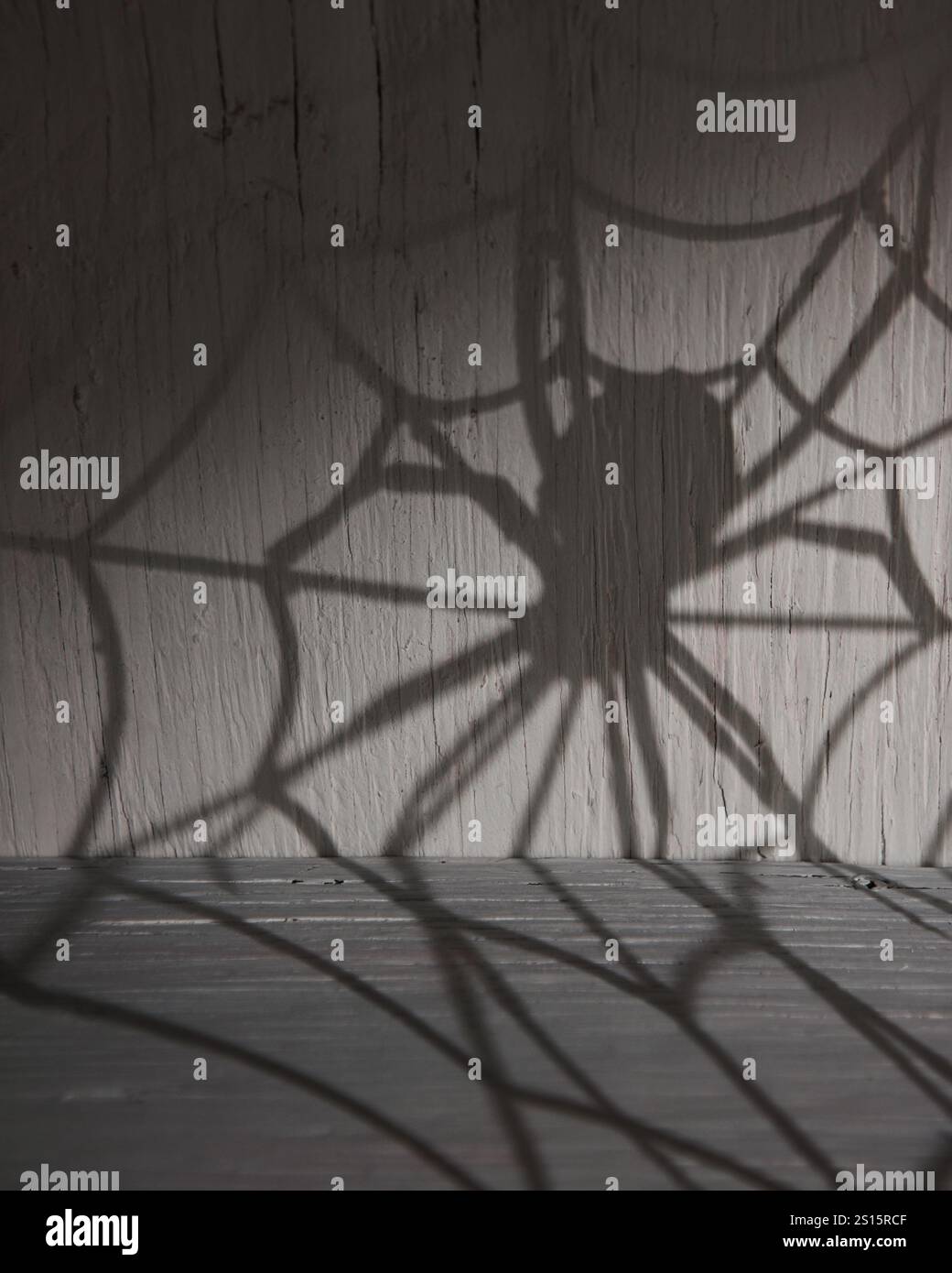 Un'ombra scura e spaventosa di un ragno su una ragnatela contro un vecchio muro di legno con copsyapce per uno sfondo di halloween. Foto Stock