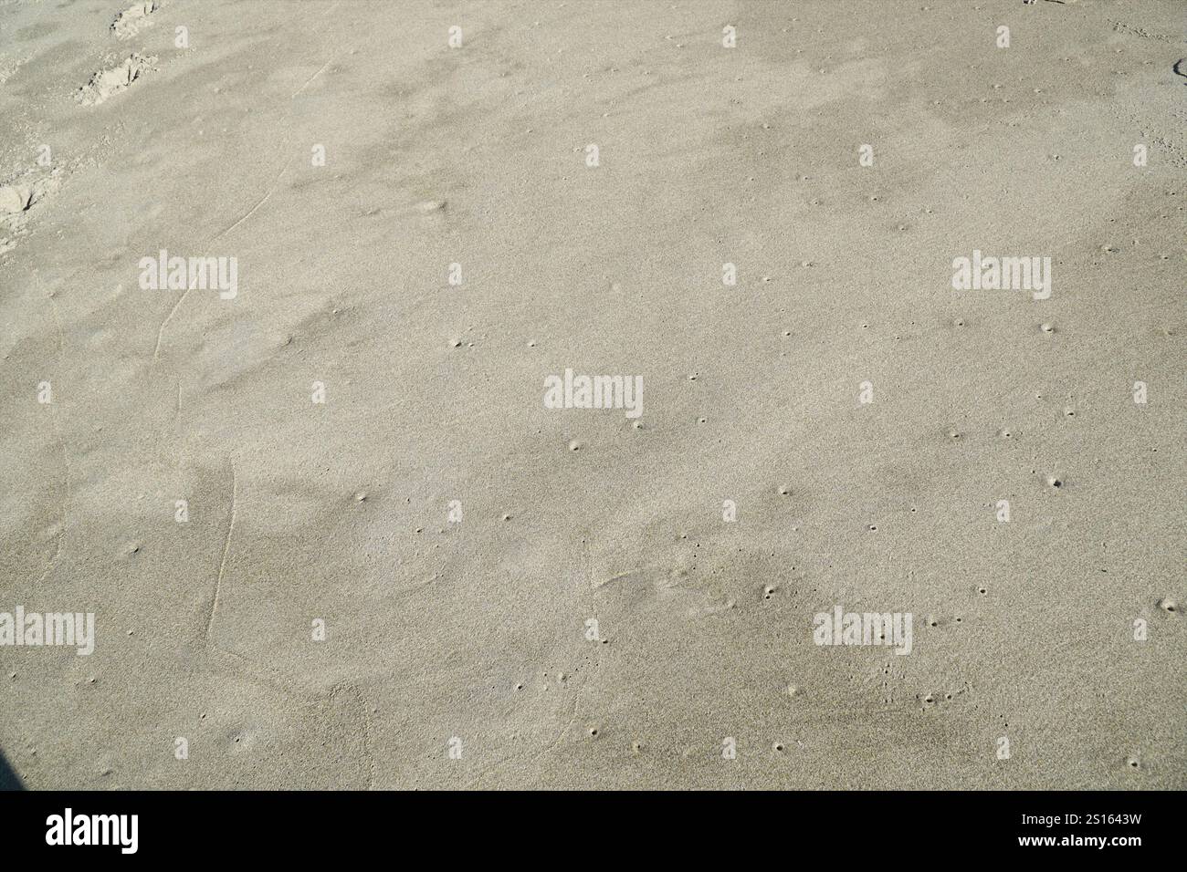 Una piccola sezione di sabbia umida sulla spiaggia sopra la linea d'acqua che mostra dei fori d'aria. Foto Stock