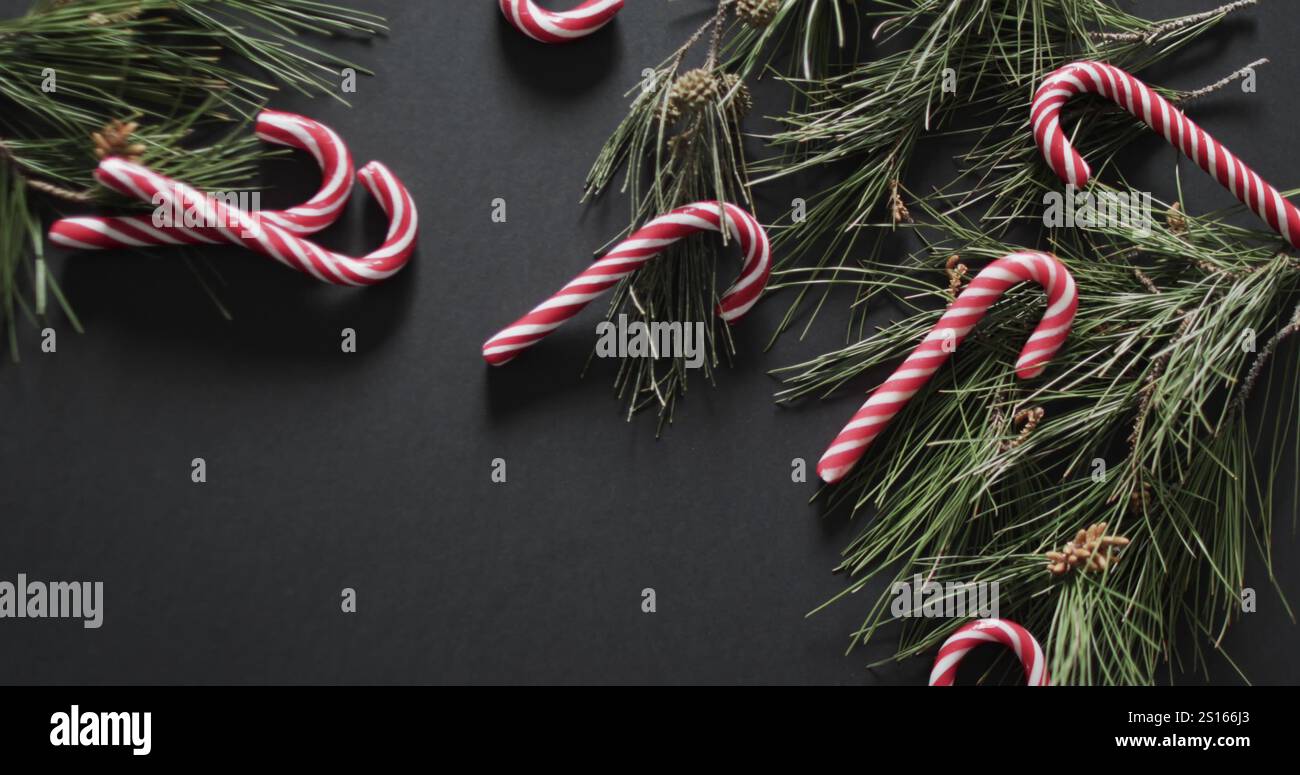 Canne di caramelle e rami di pino adornano uno sfondo scuro Foto Stock