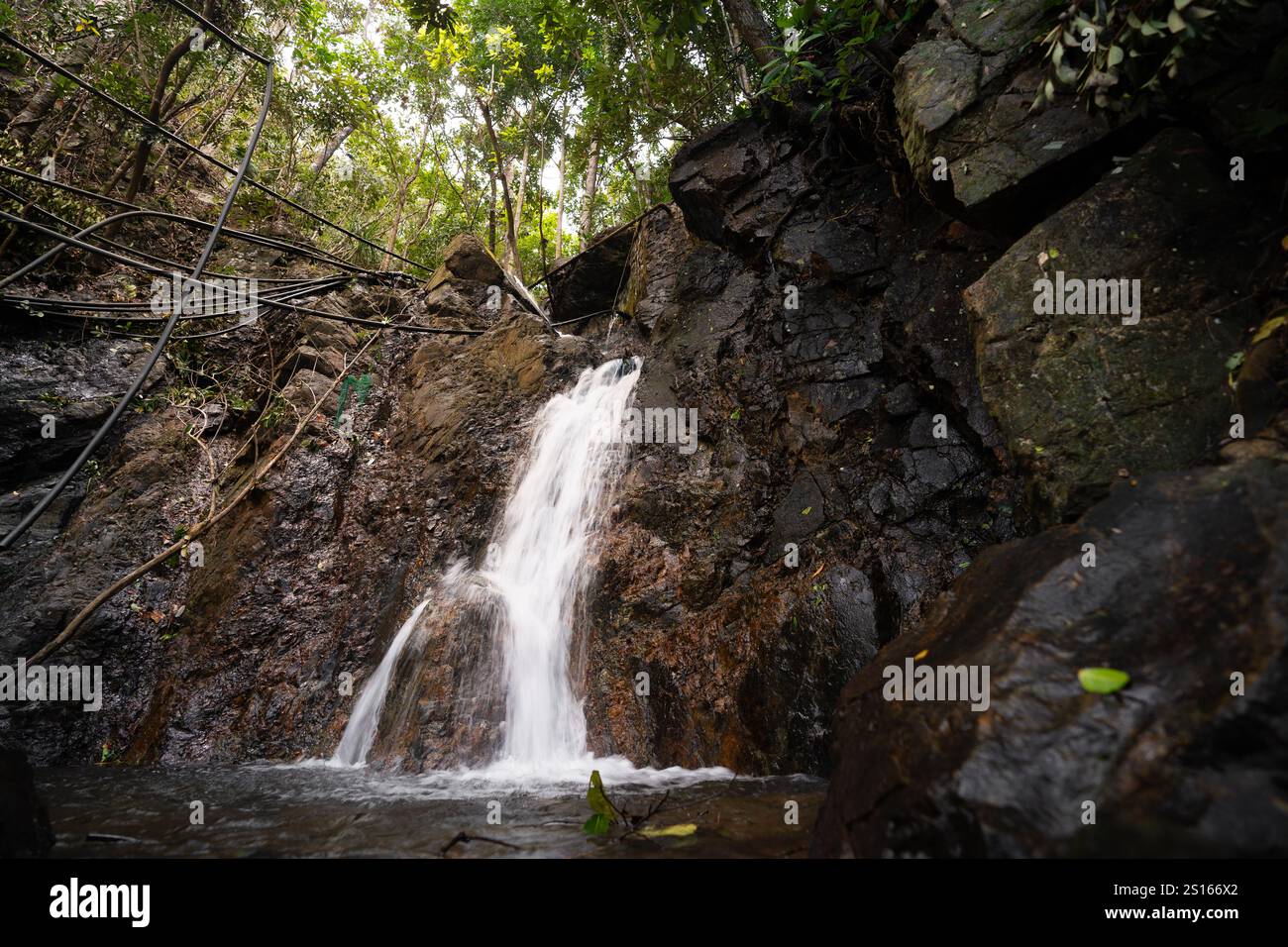 Una splendida cascata di Diguisit Falls ad Aurora che scende giù dalle rocce ricoperte di muschio in una lussureggiante foresta verde. La vegetazione circostante e il terreno accidentato migliorano la t Foto Stock