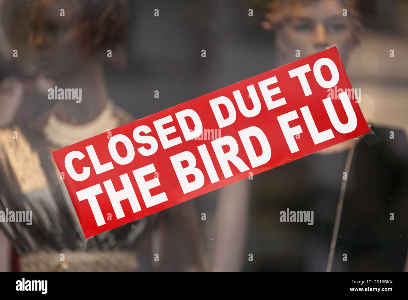 Segno rosso in una vetrina che dice "chiuso a causa dell'influenza aviaria". Foto Stock Segno rosso in una vetrina che dice "chiuso a causa dell'influenza aviaria". Foto Stock