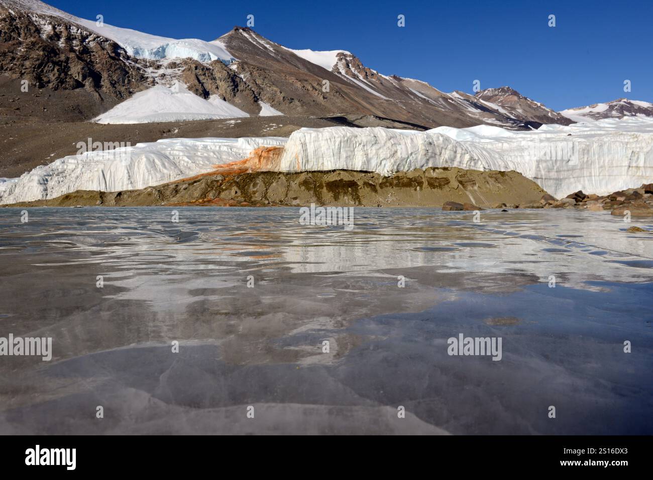 Cascate di sangue è un colore rossastro salato ricco di ferro scarica che emerge dal ghiacciaio di Taylor,Taylor Valley, McMurdo aride vallate, Antartide Foto Stock