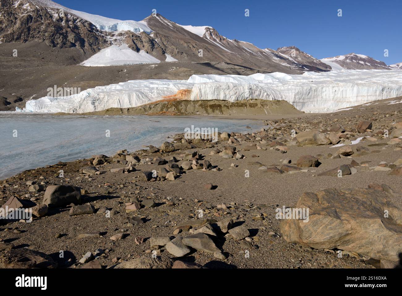 Cascate di sangue è un colore rossastro salato ricco di ferro scarica che emerge dal ghiacciaio di Taylor,Taylor Valley, McMurdo aride vallate, Antartide Foto Stock