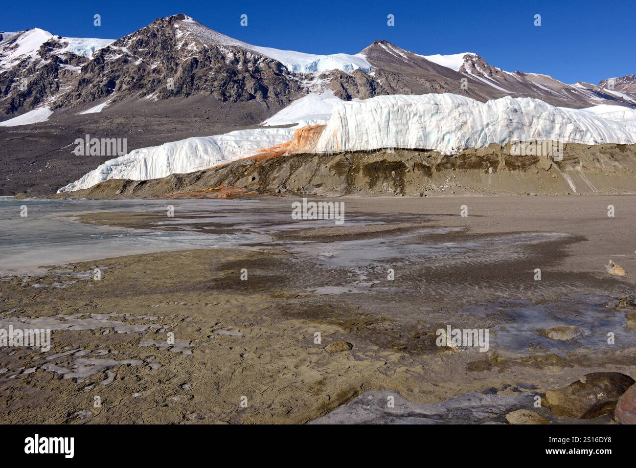 Cascate di sangue è un colore rossastro salato ricco di ferro scarica che emerge dal ghiacciaio di Taylor,Taylor Valley, McMurdo aride vallate, Antartide Foto Stock