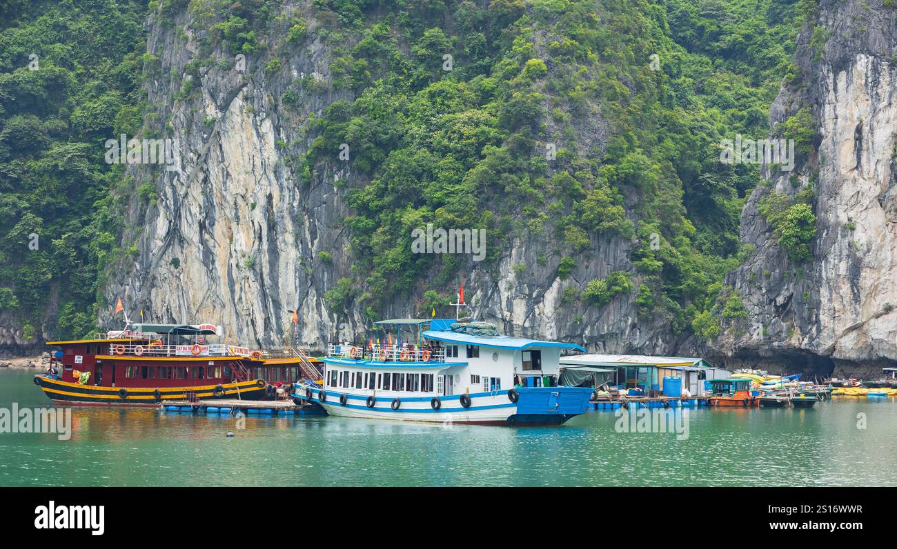 Crociera in barca a vela tra le rocce dell'isola di Cat Ba. Un tour in barca con i turisti a bordo che portano persone lungo la baia di ha Long in Vietnam. Cat Ba Tour Crui Foto Stock