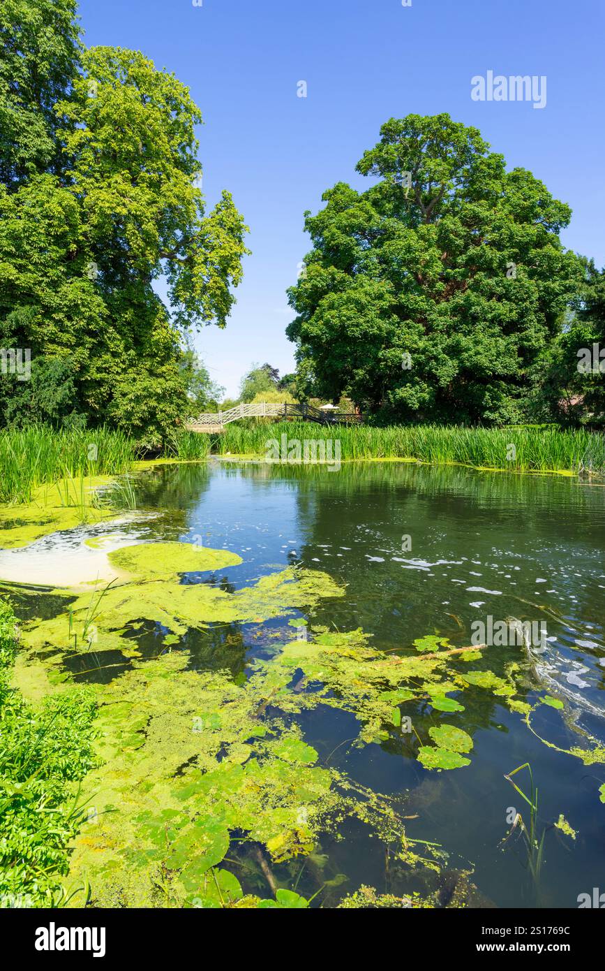 Godmanchester Cambridgeshire The River Great Ouse dal ponte Queens Walk Godmanchester vicino Huntingdon Cambridgeshire Inghilterra Regno Unito Europa Foto Stock