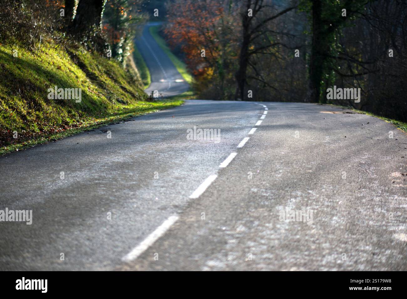 Una strada tranquilla e tortuosa attraverso una foresta rurale, con macchie di luce solare e ombre gettate sull'asfalto. Vitoriano, Araba, Paesi Baschi, Spagna. Foto Stock