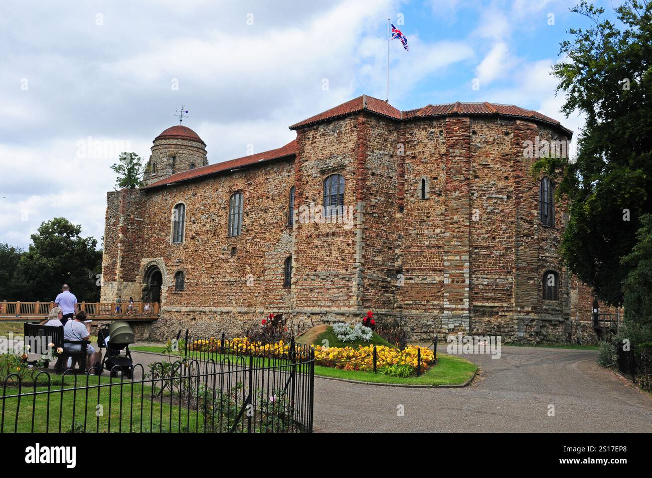 Castello di Colchester. Mostra l'albero di Sycamore. Foto Stock