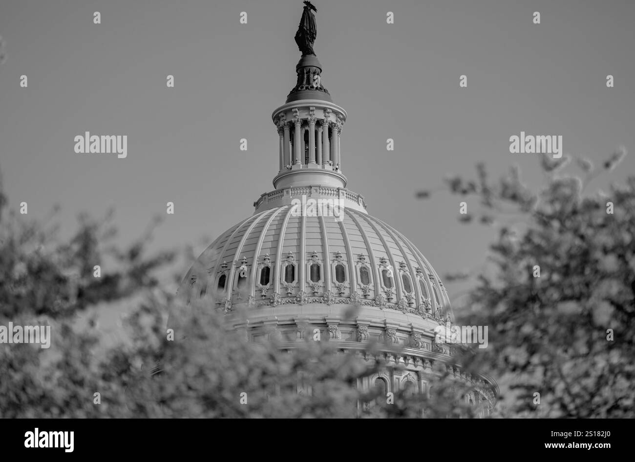 Washington DC, Campidoglio, Corte Suprema, monumento a Washington, centro commerciale nazionale. Icona del Campidoglio degli Stati Uniti a Washington DC Foto Stock