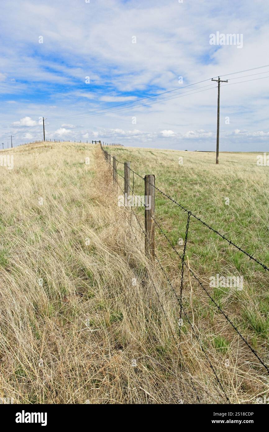 La recinzione metallica e i pali di servizio si estendono attraverso la prateria aperta della Pawnee National Grassland Foto Stock La recinzione metallica e i pali di servizio si estendono attraverso la prateria aperta della Pawnee National Grassland Foto Stock