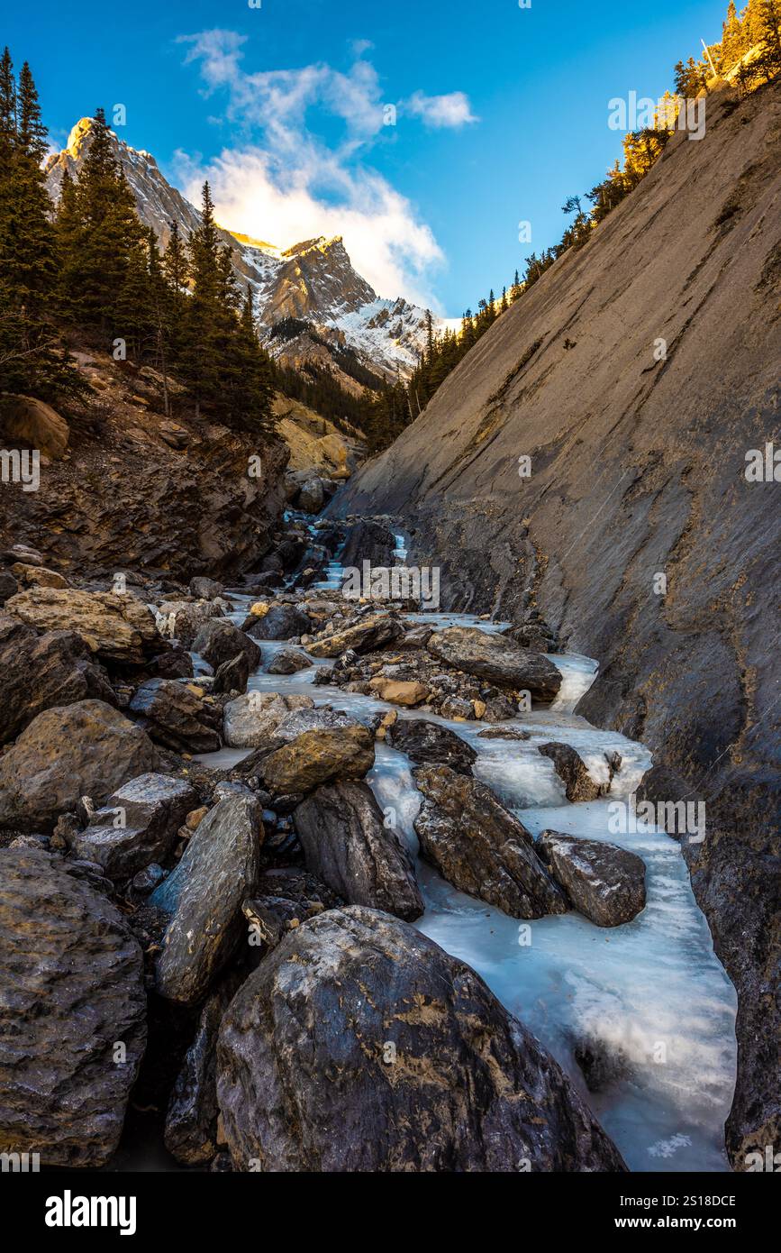 Sentiero Hoodoo Creek nei pressi del lago Abraham Nordegg Alberta Clearwater County David Thompson Hwy Foto Stock