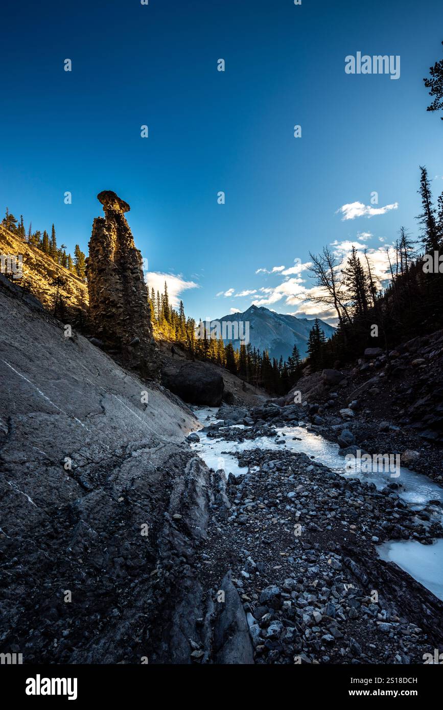 Sentiero Hoodoo Creek nei pressi del lago Abraham Nordegg Alberta Clearwater County David Thompson Hwy Foto Stock