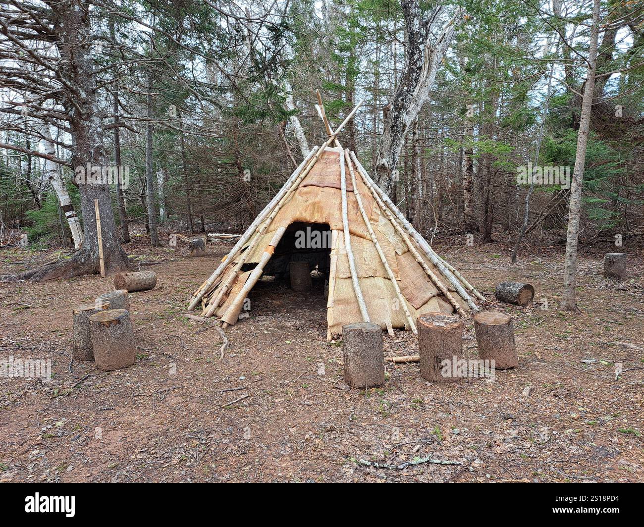 Tradizionale wigwam mi'kmaq al Greenwich National Park a St. Peters Bay, Prince Edward Island, Canada Foto Stock