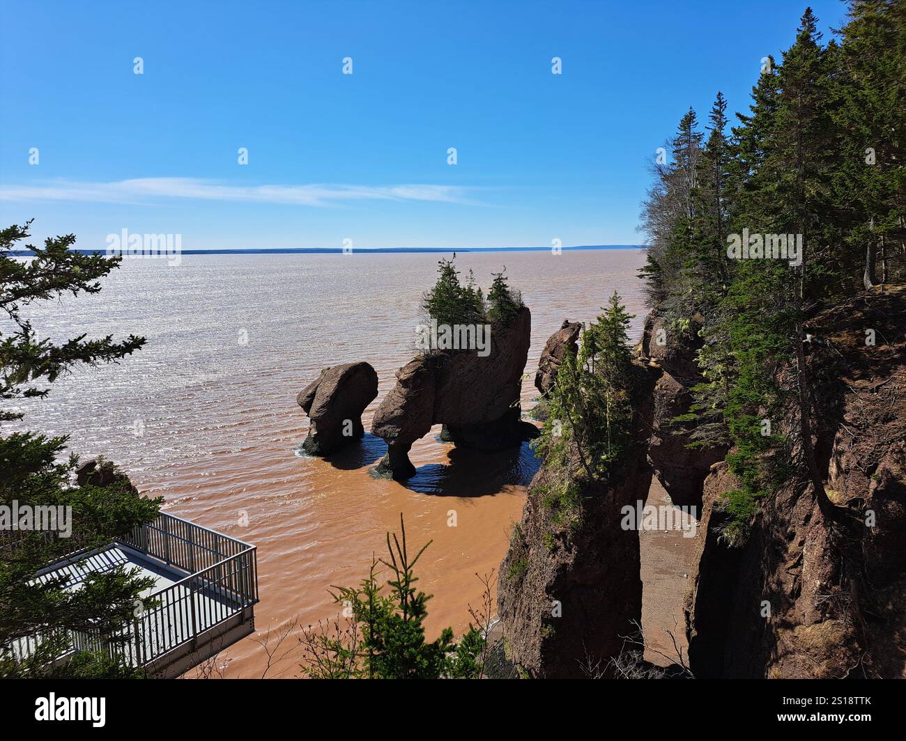 Vasi di fiori di Sea Stacks presso l'Hopewell Rocks Provincial Park di Hopewell Cape, New Brunswick, Canada Foto Stock