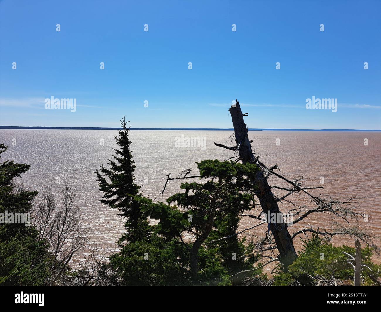 Vista della baia di Fundy all'Hopewell Rocks Provincial Park a Hopewell Cape, New Brunswick, Canada Foto Stock