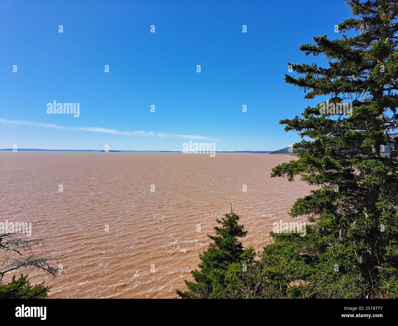 Vista della baia di Fundy all'Hopewell Rocks Provincial Park a Hopewell Cape, New Brunswick, Canada Foto Stock