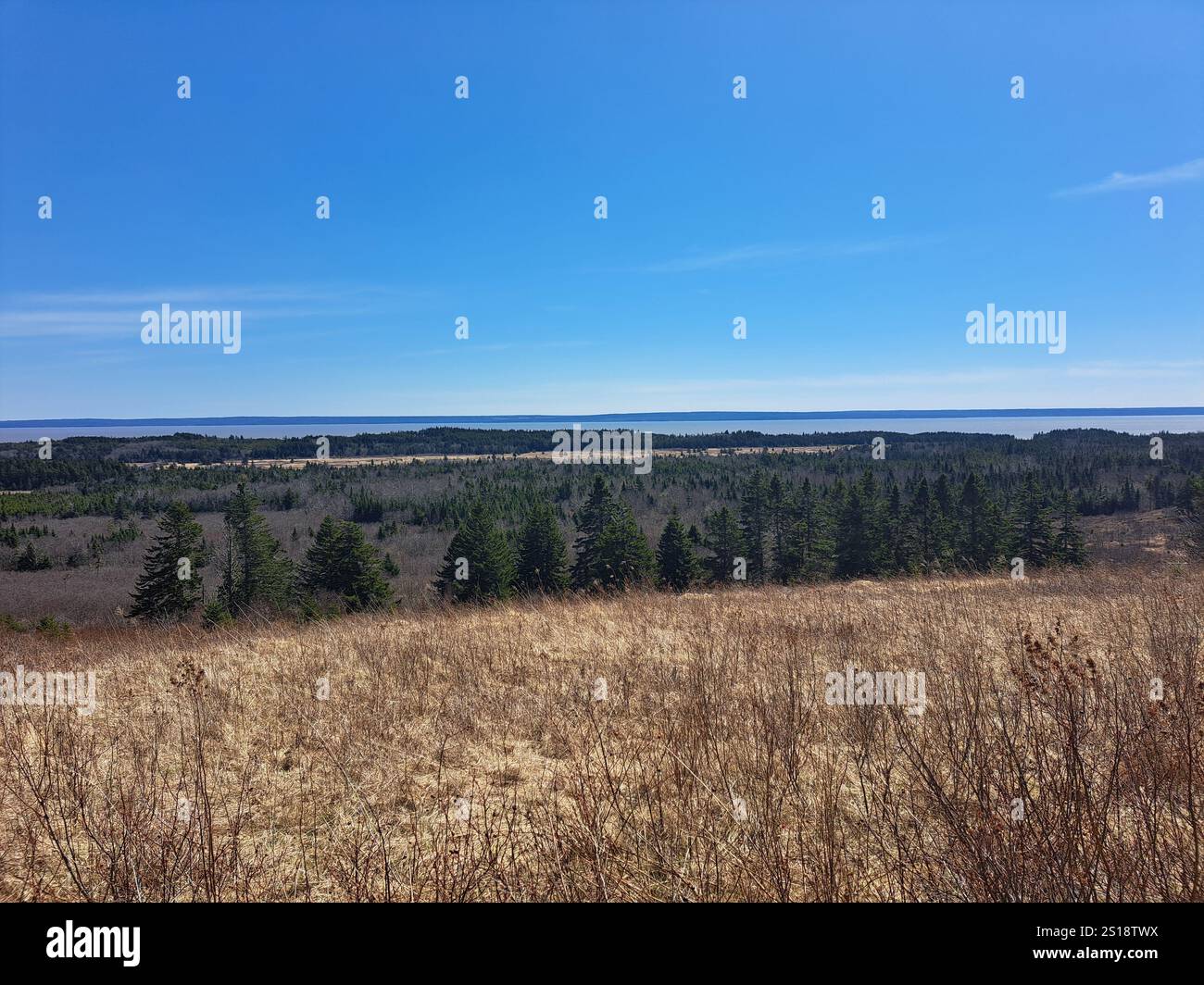 Vista della Baia di Fundy da Cape Enrage a Waterside, New Brunswick, Canada Foto Stock