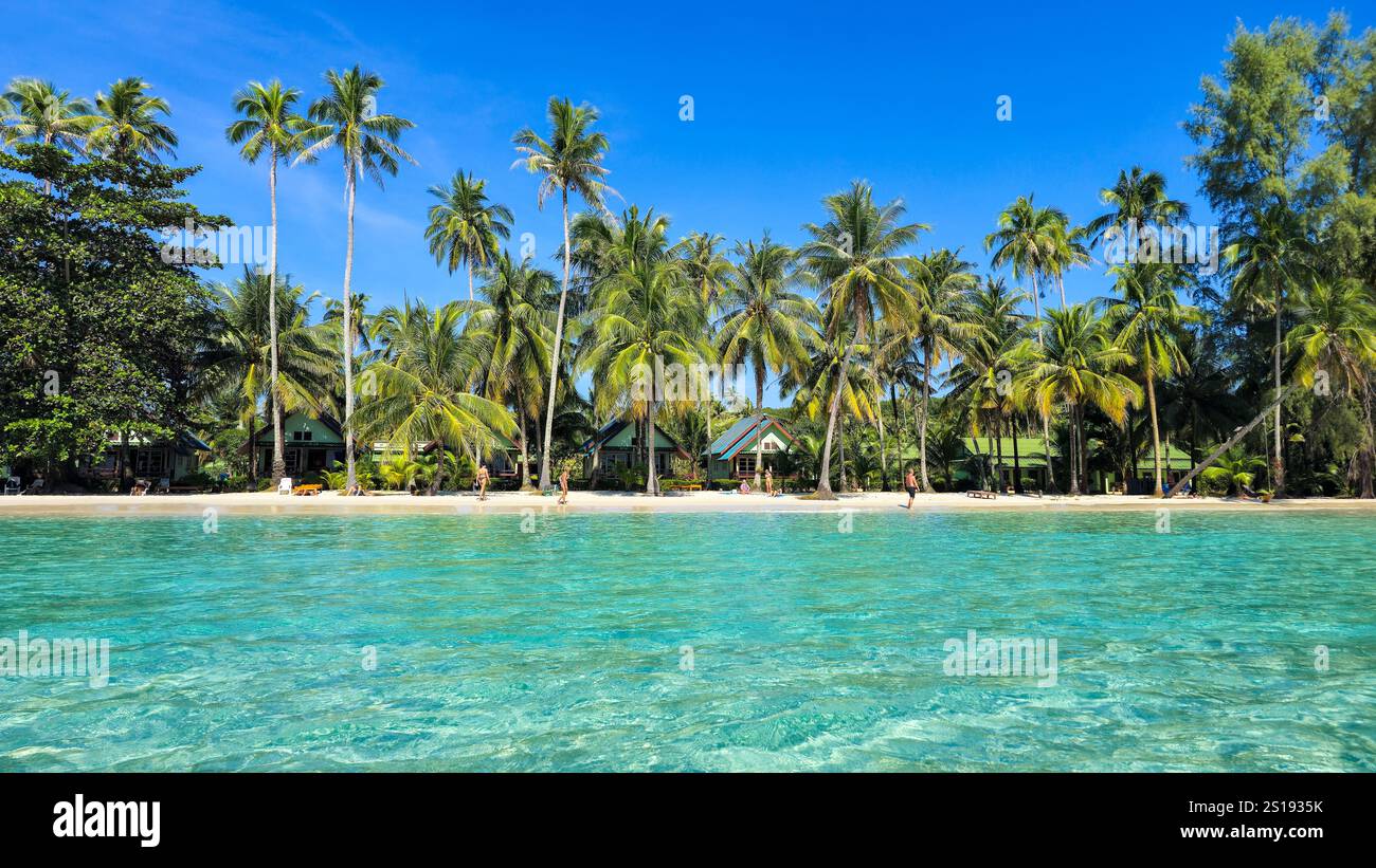 Le acque cristalline si infrangono su una costa tropicale costeggiata da palme ondeggianti. I visitatori apprezzano l'atmosfera tranquilla, immergendosi nella bellezza naturale di Koh Kood durante una giornata di sole. Foto Stock