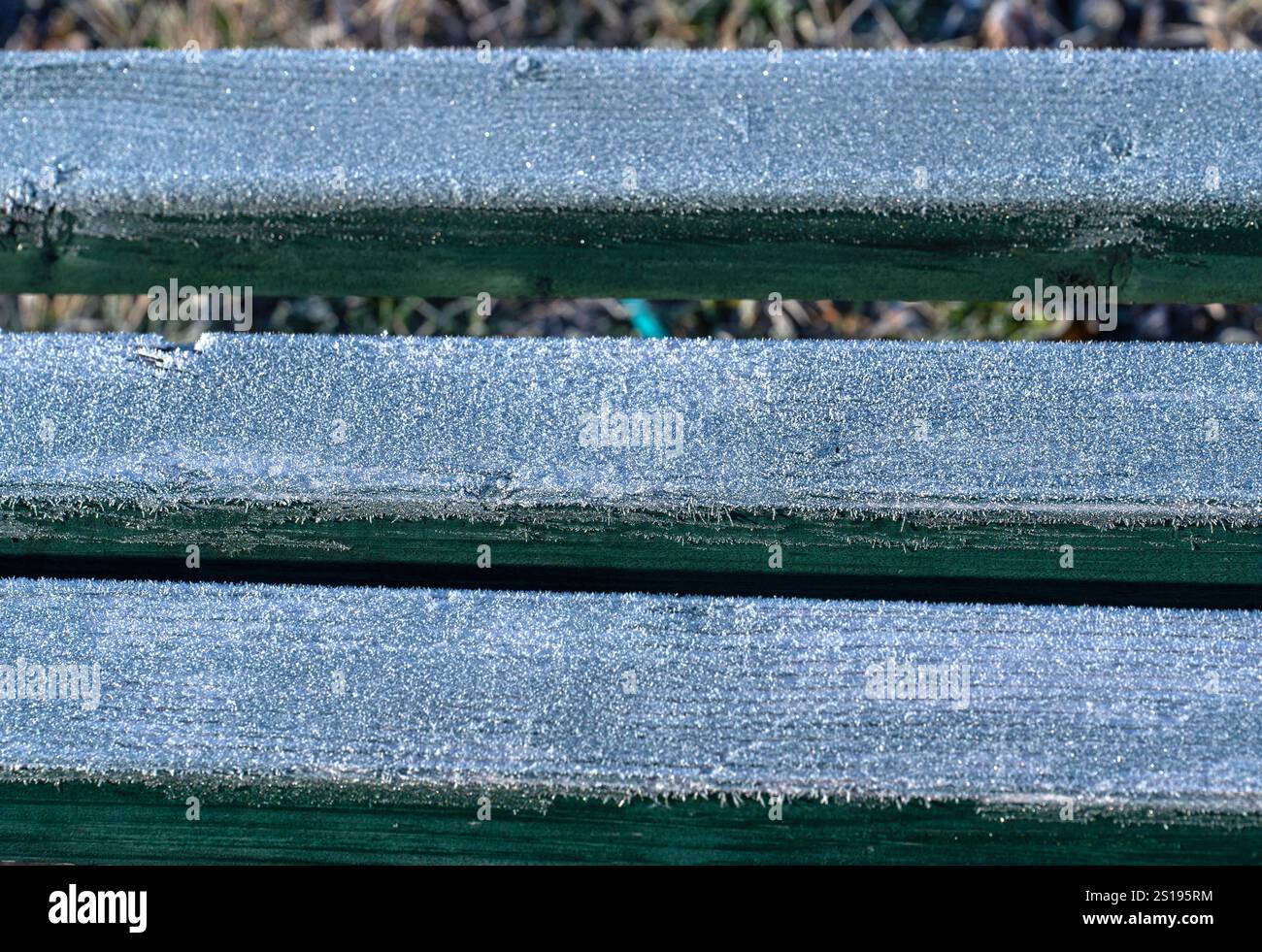 Tavole di legno ghiacciate: Primo piano del Park Bench al mattino Foto Stock