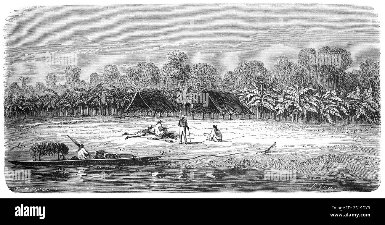 Yine Village of Communal Huts o rifugi e Banana Plantation. Gli Yine sono un popolo indigeno del Perù che vive lungo il fiume Urubamba nelle regioni di Cusco, Loreta e Ucayali. Sono anche conosciuti come Chontaquiro, Contaquiro, Pira, Piro, Pirro, Simiranch o Simirinche. Illustrazione o incisione vintage o storica 1864 Foto Stock