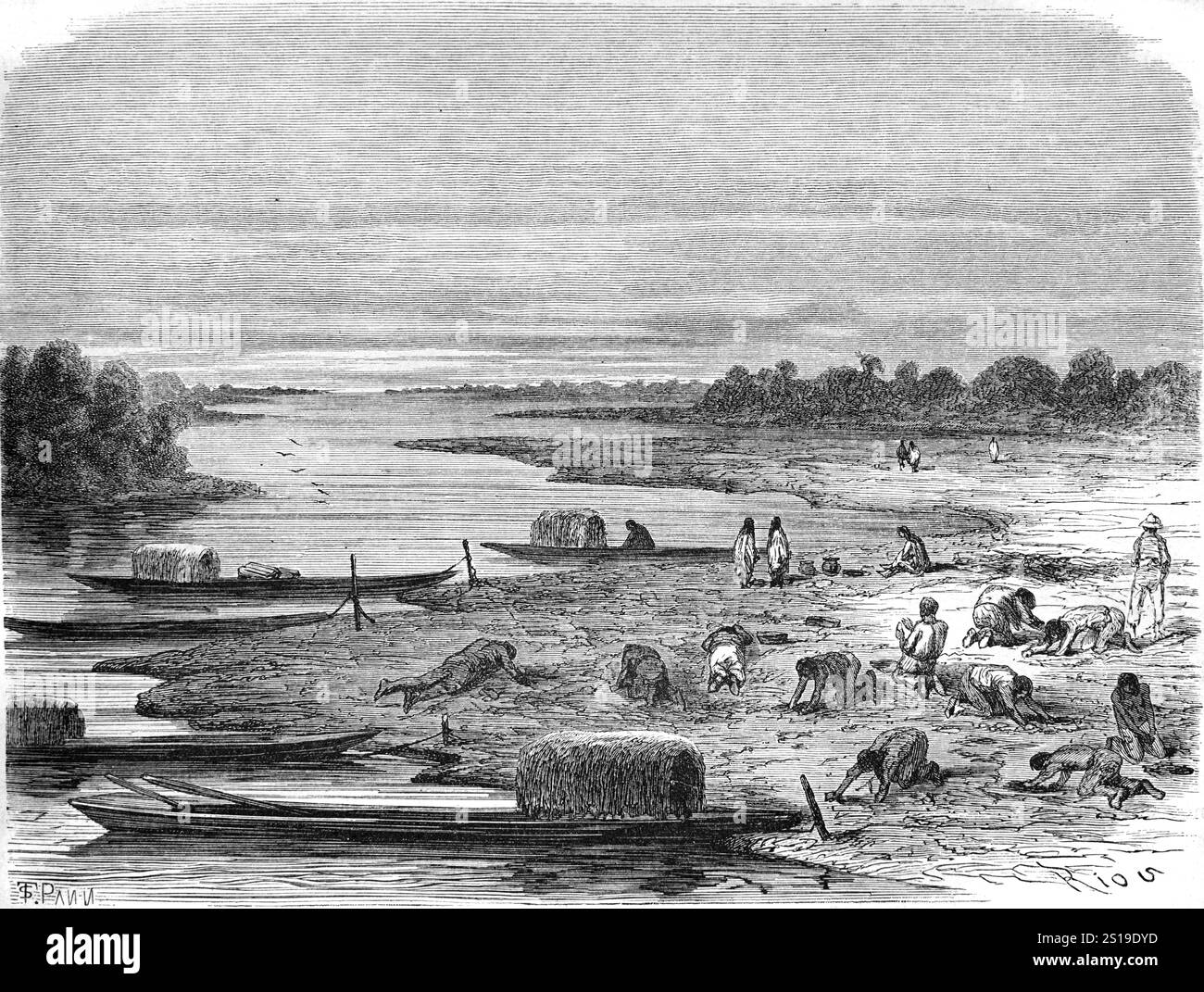 Raccogliendo uova di tartaruga per il cibo lungo le rive del fiume Ucayli presso il popolo Shiibo-Conibo gli Shipibo-Conibo sono un popolo indigeno del Perù che vive lungo il fiume Ucayali nella foresta pluviale amazzonica del Perù Sud America. Illustrazione o incisione vintage o storica 1864 Foto Stock