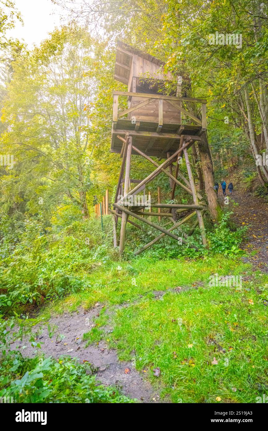 La torre di guardia si erge nel campo di lavoro di Svornost, circondato da una vegetazione lussureggiante a Jachymov, Cechia. Funge da residuo storico del passato del campo. Foto Stock