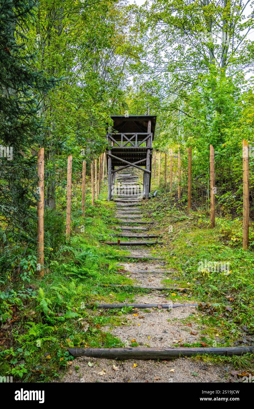 Una torre di guardia si affaccia sulla scalinata che conduce attraverso la fitta vegetazione dell'ex campo di lavoro di Svornost a Jachymov, in Cechia, evocando un senso di significato storico. Foto Stock