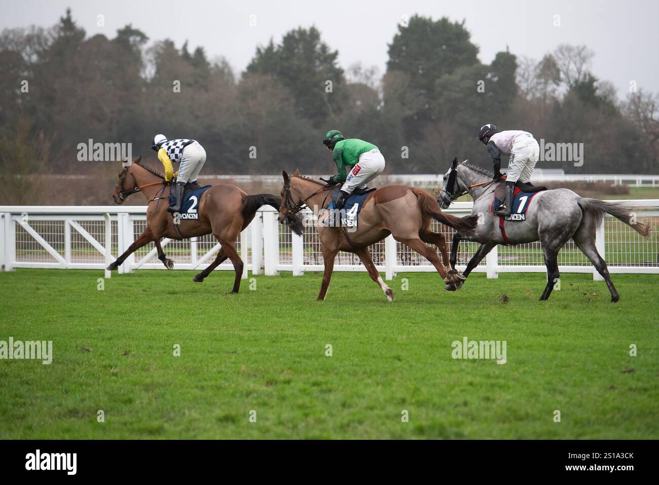 Ascot, Berkshire, Regno Unito. 21 dicembre 2024. IL JUNGLE BOOGIE guidato dal fantino Darragh prende il comando prima di vincere la Howden Graduation Steeple Chase Class 2 GBB Race all'Howden Christmas Family Raceday all'Ascot Racecourse nel Berkshire. Proprietario Malcolm C Denmark, allenatore Henry de Bromhead, allevatore Noel o’Brien. Crediti: Maureen McLean/Alamy Live News Foto Stock