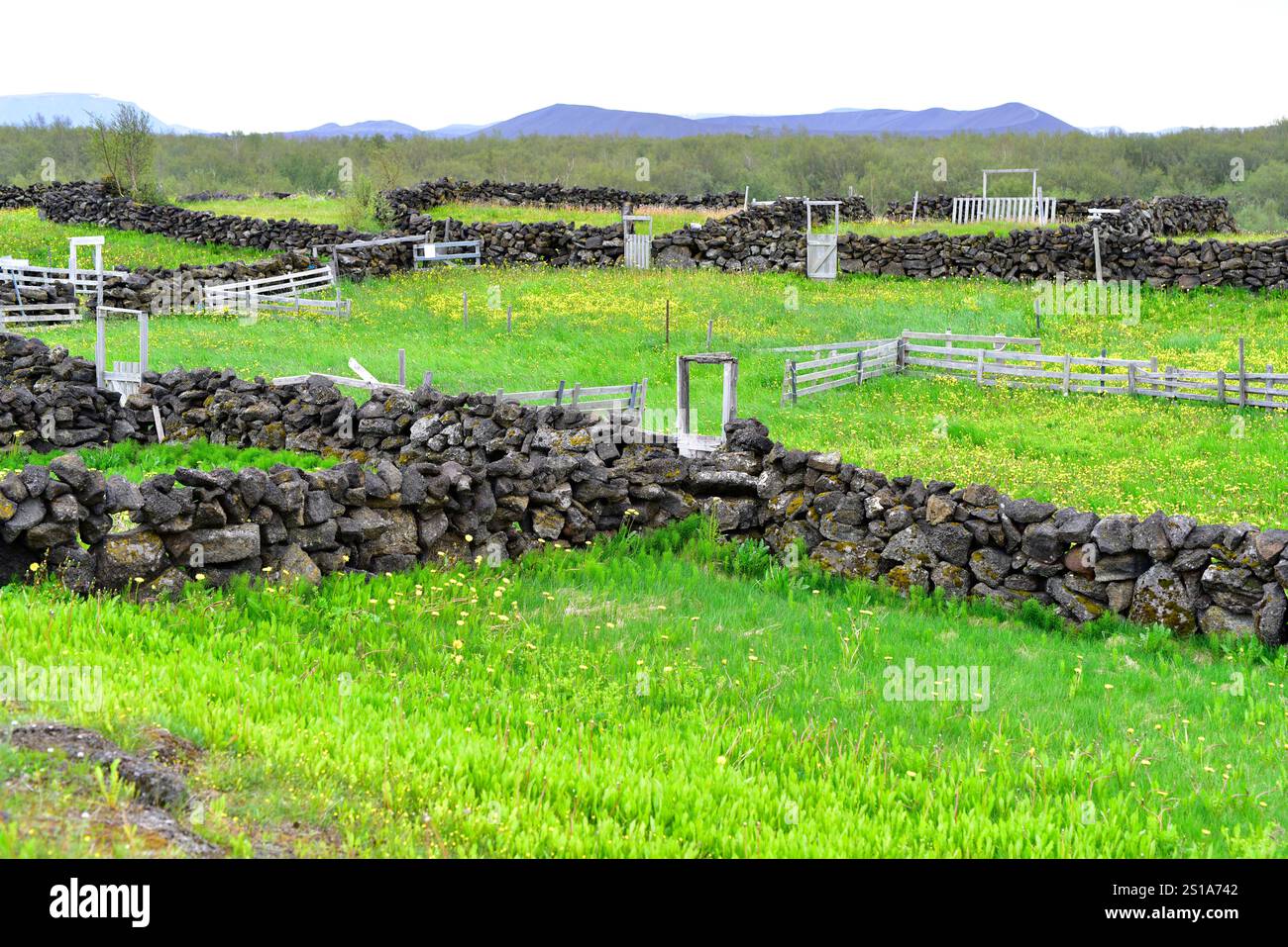 Hlidarrett, storico sheephold costruito nel 1880 nell'area del lago Myvatn. Islanda. Foto Stock
