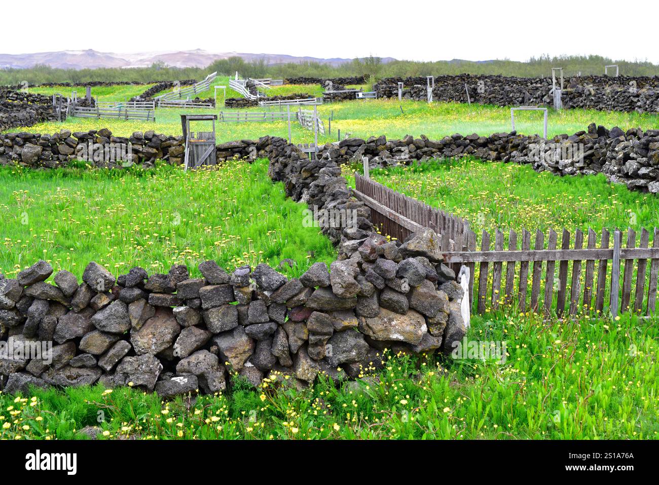 Hlidarrett, storico sheephold costruito nel 1880 nell'area del lago Myvatn. Islanda. Foto Stock