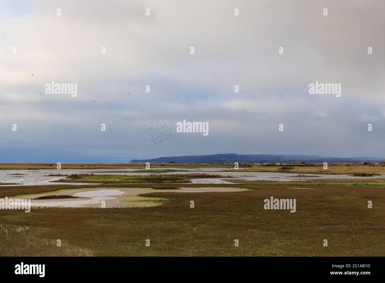 Rye Harbour Nature Reserve, una riserva naturale costiera costituita da lagune e zone umide nell'East Sussex, Regno Unito Foto Stock